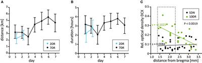 Neurogenic Processes Are Induced by Very Short Periods of Voluntary Wheel-Running in Male Mice